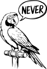 Wall Mural - Illustrative Parrot with Speech Bubble Saying 'NEVER'