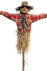 Sticker - A scarecrow isolated on transparent background