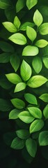 Wall Mural - A vibrant collection of green leaves showcasing the beauty of nature, perfect for backgrounds or organic-themed designs.