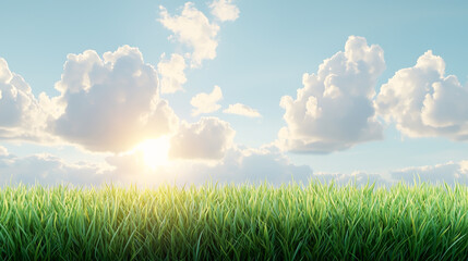 A serene landscape featuring lush green grass under a clear blue sky with fluffy clouds and a radiant sun shining in the background.