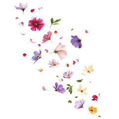 Wall Mural - A colorful bouquet of flowers is scattered across the sky