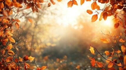 Wall Mural - Golden Autumn Leaves Framed Against a Sunlit Forest Background