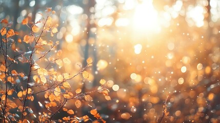 Canvas Print - Golden Autumn Leaves and Sunlit Bokeh in a Forest