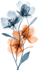 Wall Mural - X-ray illustration of delicate flowers in