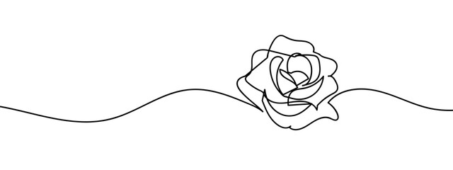 Wall Mural - rose illustration of a flower line art style vector with transparent background.