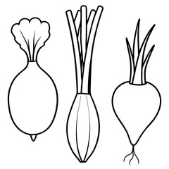 rutabaga vegetable outline coloring book page line art illustration digital drawing