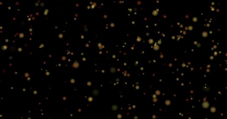 Wall Mural - Animation of red spots moving on black background