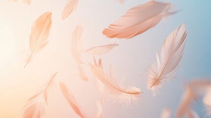 Sticker - Floating soft feathers with gentle light, ethereal