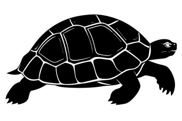 Wall Mural - tortoise icon vector, tortoise illustration,tortoise silhouette