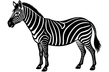 Wall Mural - zebra animal, zebra illustration white background