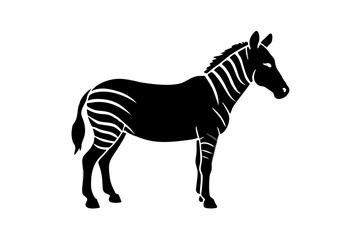 Wall Mural - zebra animal, zebra illustration white background