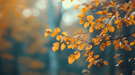 Canvas Print - Golden Autumn Leaves on a Branch Against a Blurred Background