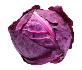 Purple cabbage isolated on white background