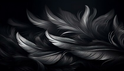 Wall Mural - Close-up of delicate black and silver feathers gracefully layered on a dark background, creating a soft, elegant, and mysterious texture.