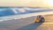 © Theeranan - A single seashell resting on smooth, sunlit sand by the ocean, with waves softly approaching in the background, capturing beach serenity