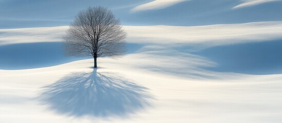 Poster - Solitary Tree in a Winter Wonderland