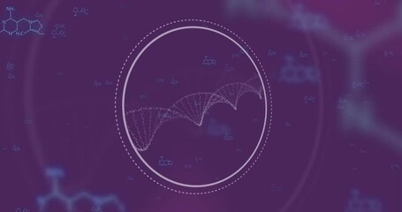 Poster - Animation of chemical formula and dna strand on purple background
