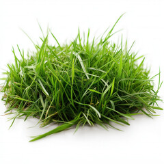 Sticker - Grass Patch Isolated