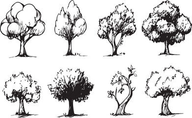 Wall Mural - Set Trees. Hand drawn vector illustration	