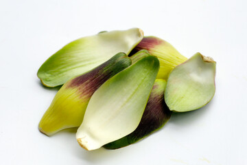 Wall Mural - Artichoke petals on white background.