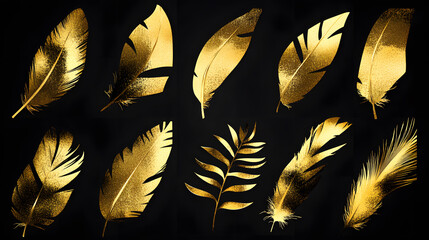 Feathers collection made of gold foil isolated on black background