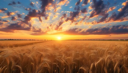 Wall Mural - Serene sunset over a golden wheat field with dramatic clouds creating a peaceful atmosphere