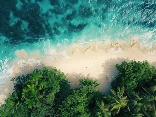 Poster - A beautiful beach with a lush green forest in the background. The water is calm and the sky is clear