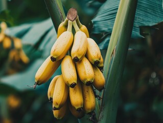 banana fruit on tree - ai