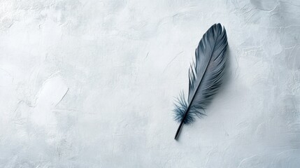 Poster - A Single Black Feather on a Light Gray Textured Surface