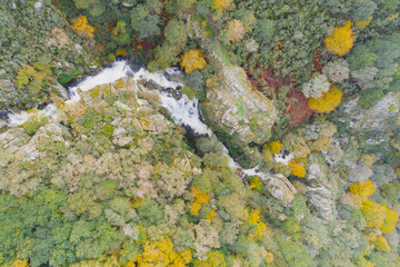 a deciduous forest in fall with a waterfall, aerial view zenithal by drone