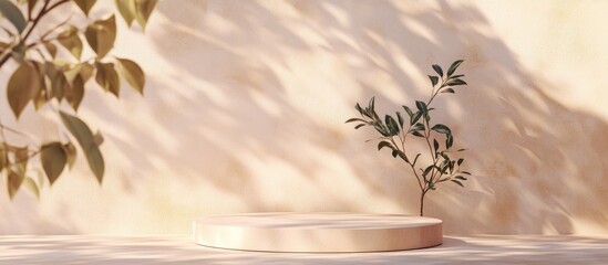 Poster - Natural podium on a pastel light stucco background Subtle background featuring a plant and shadows on the wall 3D render Mockup for product presentations exhibitions wellness and relaxation