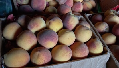 Fresh delicious Peach fruits in a shop