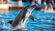 © Pinklife - A playful dolphin is captured leaping out of the water with great energy and liveliness, showcasing grace and agility amidst a bustling aquatic environment full of vigor.
