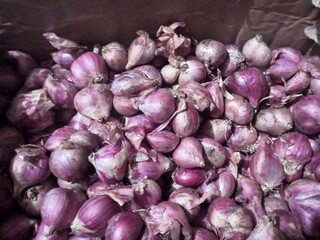 A close-up of fresh purple shallots in a pile. The shallots are unpeeled and in bulk, showcasing their natural texture and color.