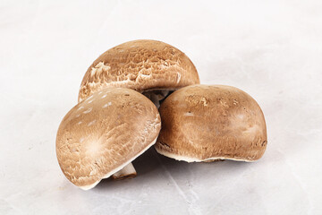 Raw brown champignon for cooking