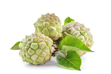 A group of fruit on a branch isolated on white background