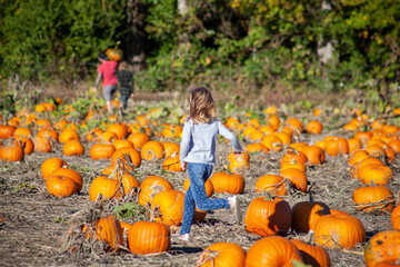 Young girl kid running through many pumpkins at pumpkin patch u-pick farm. Fun fall activity before Halloween. High quality picture for download. 