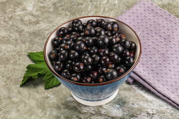 Ripe black currant in the bowl