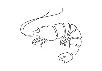 Wall Mural - Shrimp continuous single line drawing. Isolated on white background vector illustration