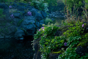 Naturally occurred rocks and streams. A rock that has special and unique frame. There are small plants growing in the crevices of the rocks.