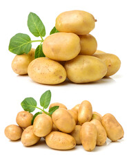 Wall Mural - New potato isolated on white background 