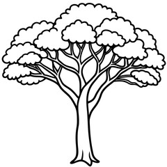 jacaranda tree outline coloring book page line art drawing