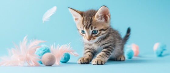 Wall Mural - A kitten is playing with a toy on a blue background