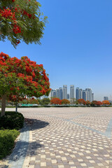 Wall Mural - beautiful walking area with flowering trees overlooking the Dubai creek harbour, UAE