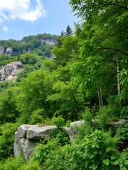 Poster - Lush green forest with a rocky outcropping.