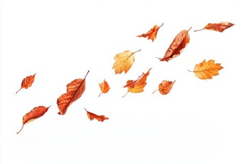 Wall Mural - Autumn leaves flying leaf background seasonal.