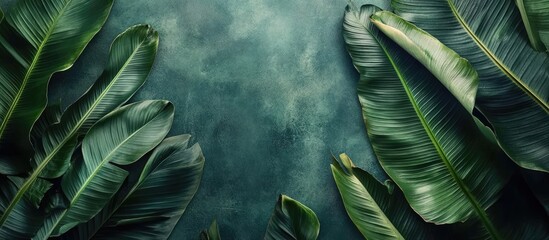 Poster - Banana leaves featuring copy space