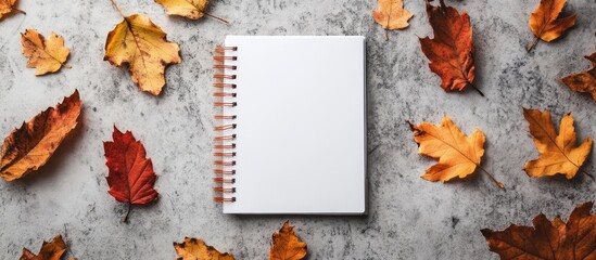Poster - Frame made of autumn leaves notebook on a white concrete background Recipe and invitation concept Top view flat lay copyspace mockup layout design