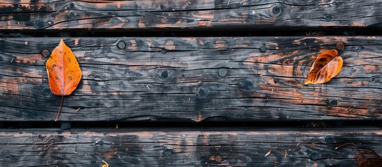Poster - autumn leaf on a black wooden background orange leaf on an aged weathered wood deck space for writing top view area for text. with copy space image. Place for adding text or design