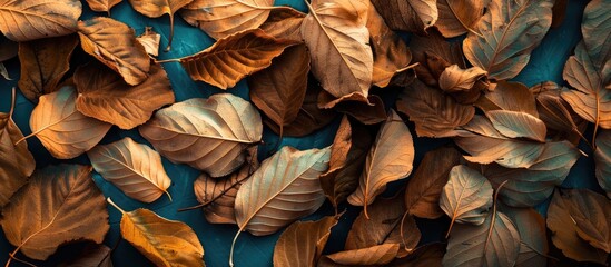 Poster - Dry autumn leaves on a light blue background arranged in a flat lay Area for text. with copy space image. Place for adding text or design